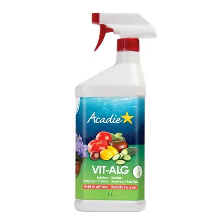 VIT-ALG Marine Seaweed Solution