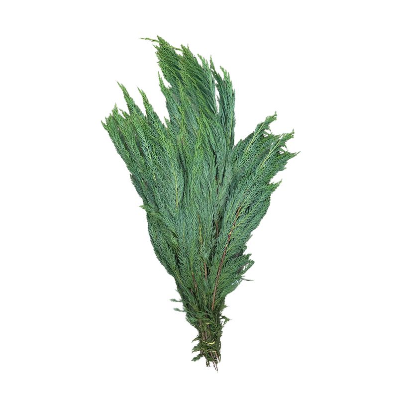 Leyland Cypress Greenery Bunch