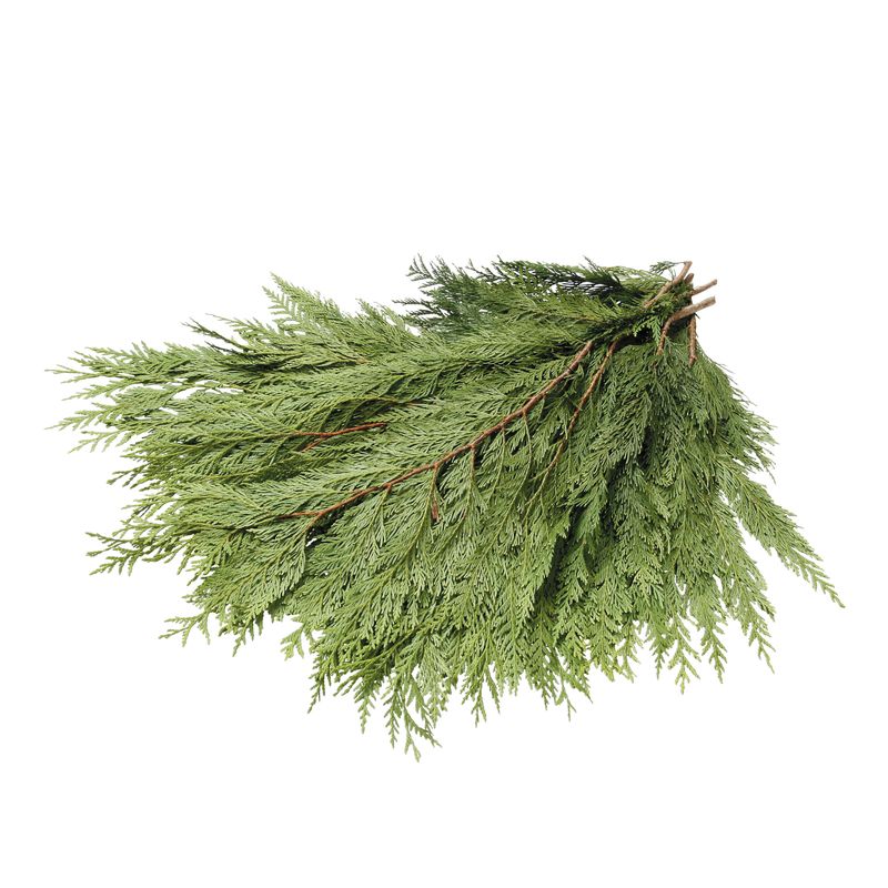 Fresh Cedar Boughs – 3lb Bundle