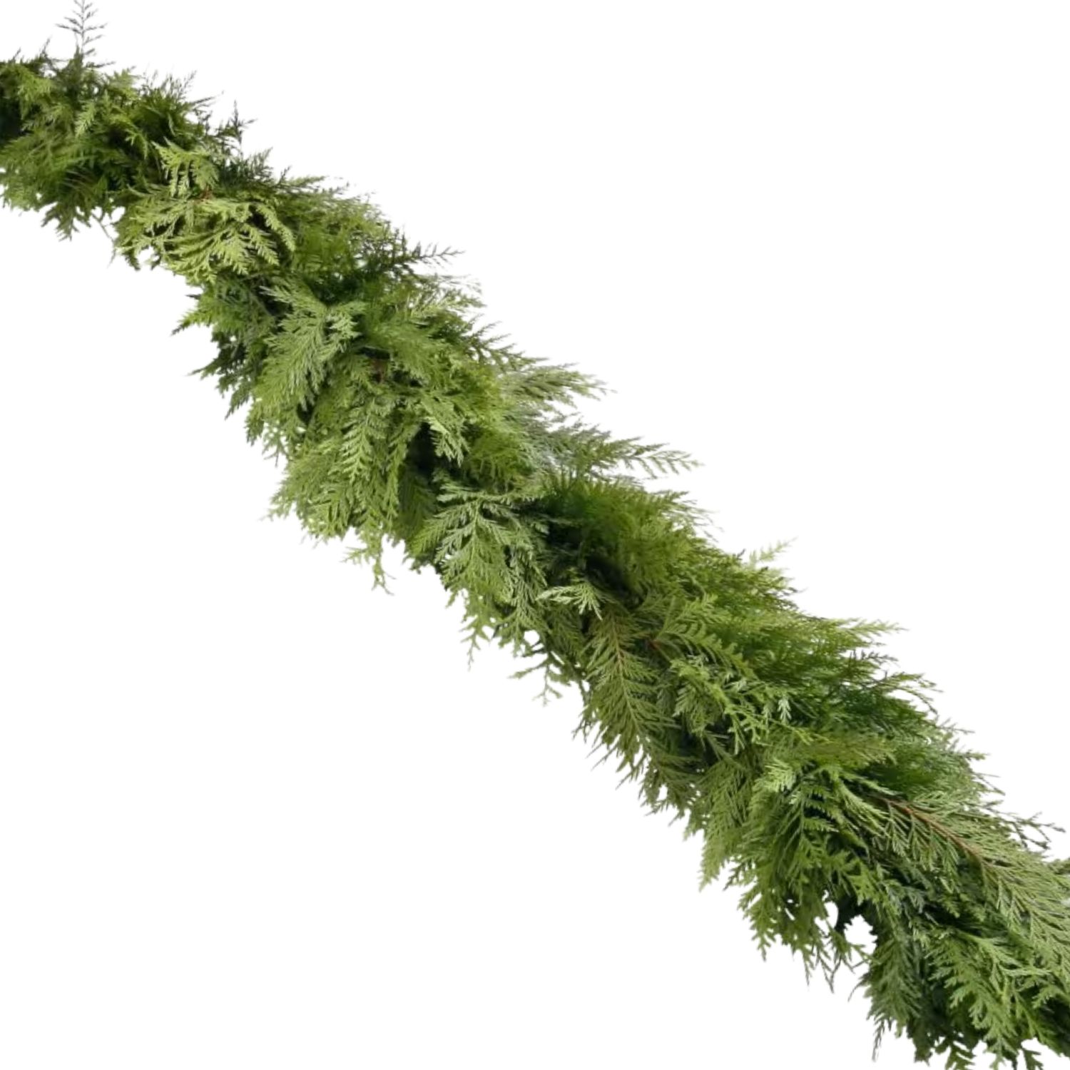 Fresh Cedar Garland Rope – 25ft