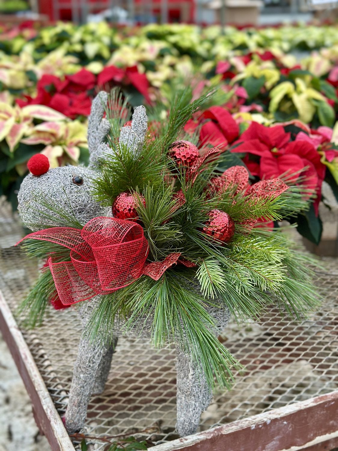 PA Day Wicker Reindeer Planter Workshop - November 21st 10am