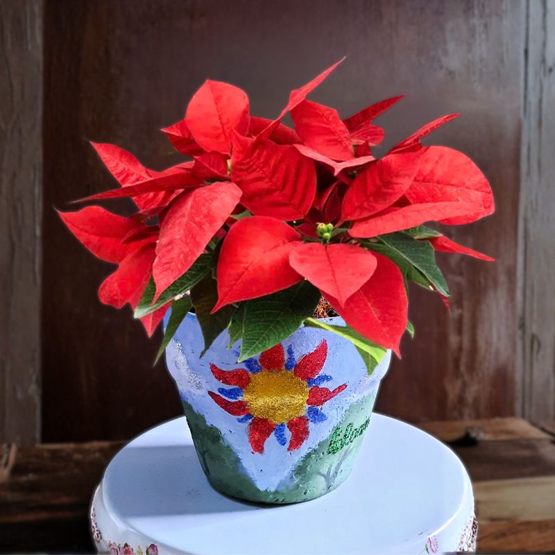 PA Day Paint &amp; Plant Workshop - November 21st at 1pm