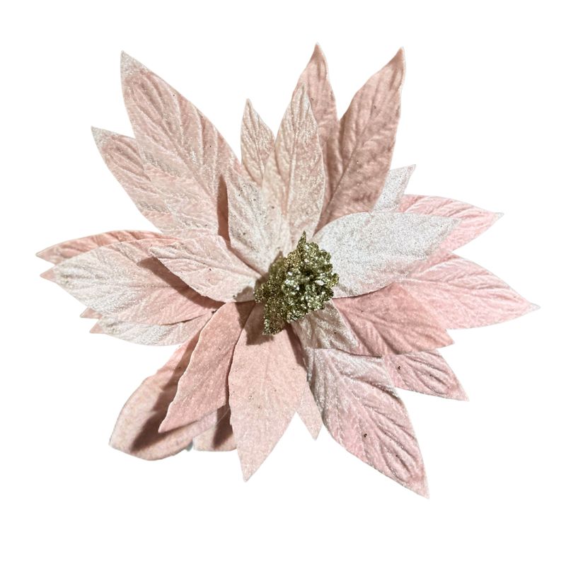 Pink Velvet Poinsettia – Champagne-Accented