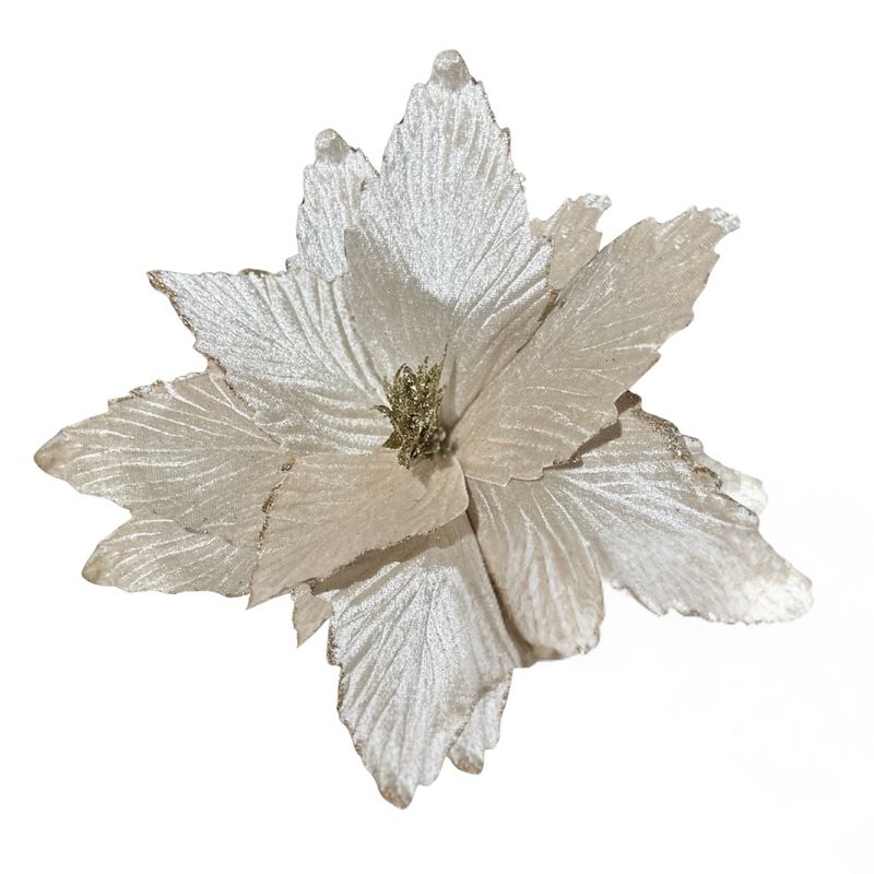 Ivory Velvet Poinsettia – Soft Luxe Finish