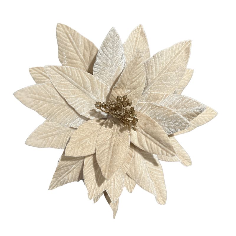 Champagne Velvet Poinsettia – Soft Shimmer