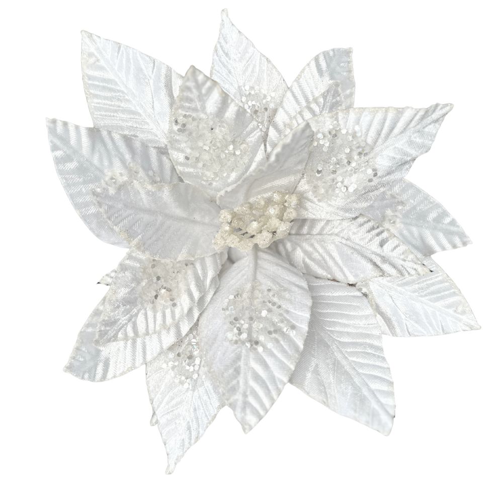 White Poinsettia – Glittered Edge