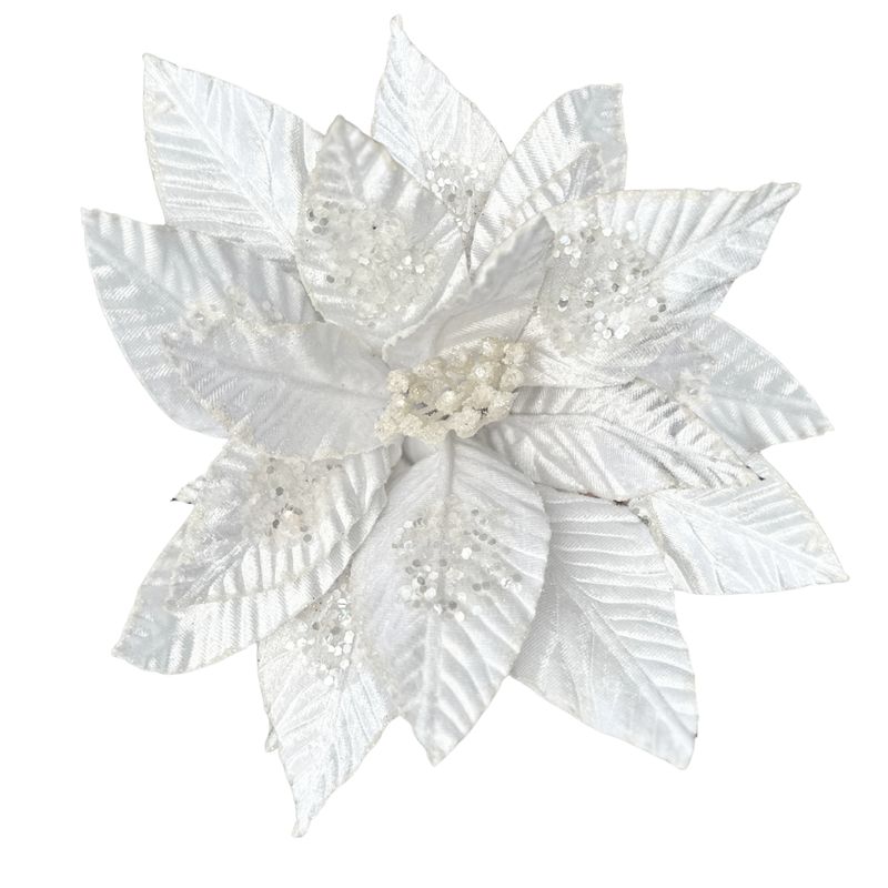 White Poinsettia – Glittered Edge