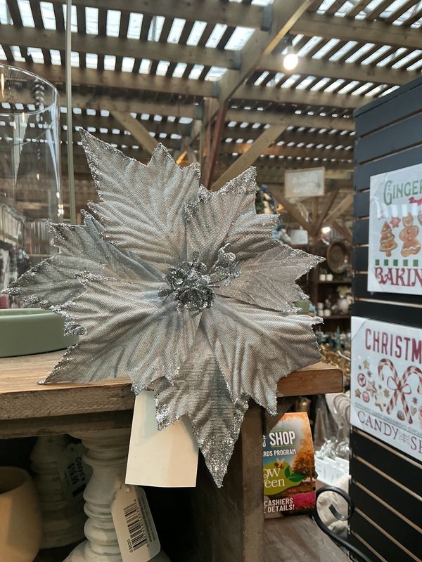 Silver Short Stem Point