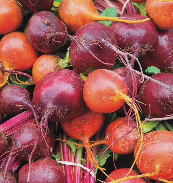 Beet Blend Seeds