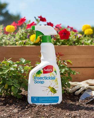 Pests &amp; Diseases