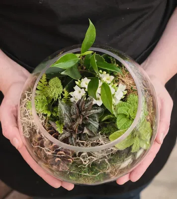 Bring the Outdoors In: My Terrarium Making Adventure