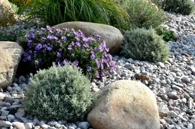 Perennials for Your Rock Garden