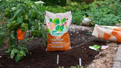 Plant Care &amp; Soils