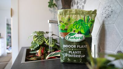 Indoor
