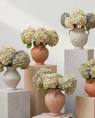 Flowers &amp; Greenery