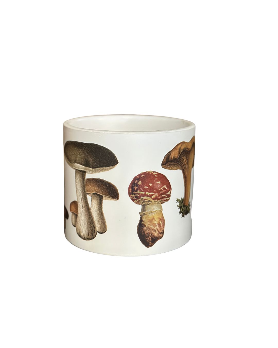 Whimsical Mushroom Ceramic Planter – 4.5"