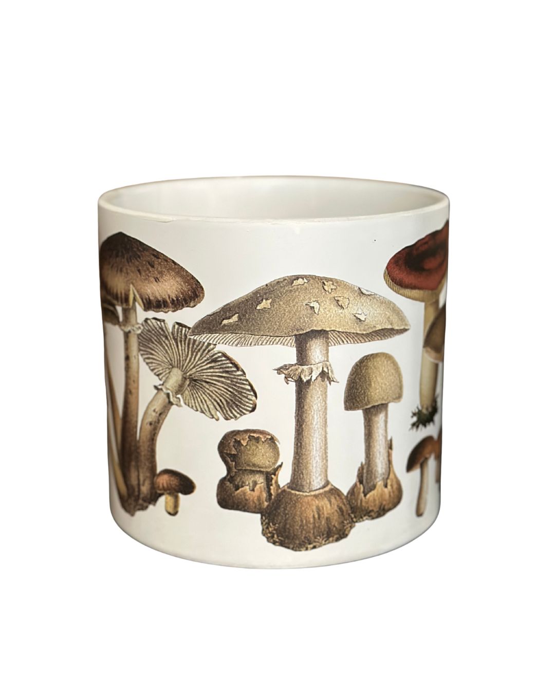 Whimsical Mushroom Ceramic Planter – 6.5"