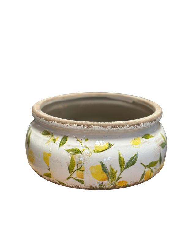 Round Lemon Zest Ceramic Planter
