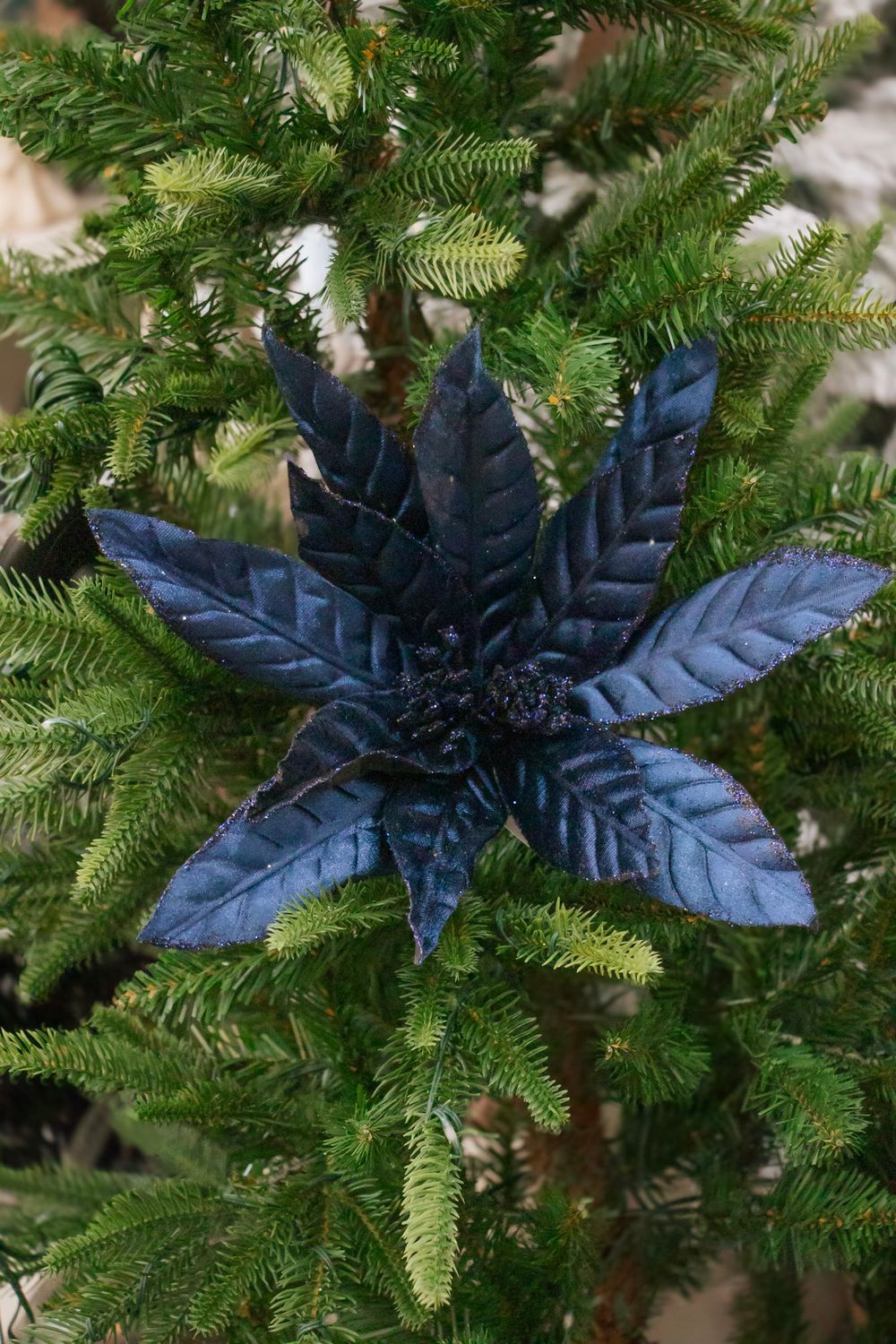 Dark Navy Velvet Poinsettia