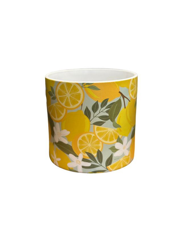 Zesty Lemon Harvest Pot – 6"