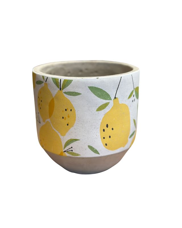 Zesty Lemon Wide-Rim Pot – 6"