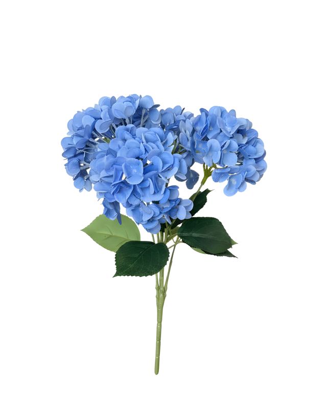 Dark Blue Hydrangea Bush