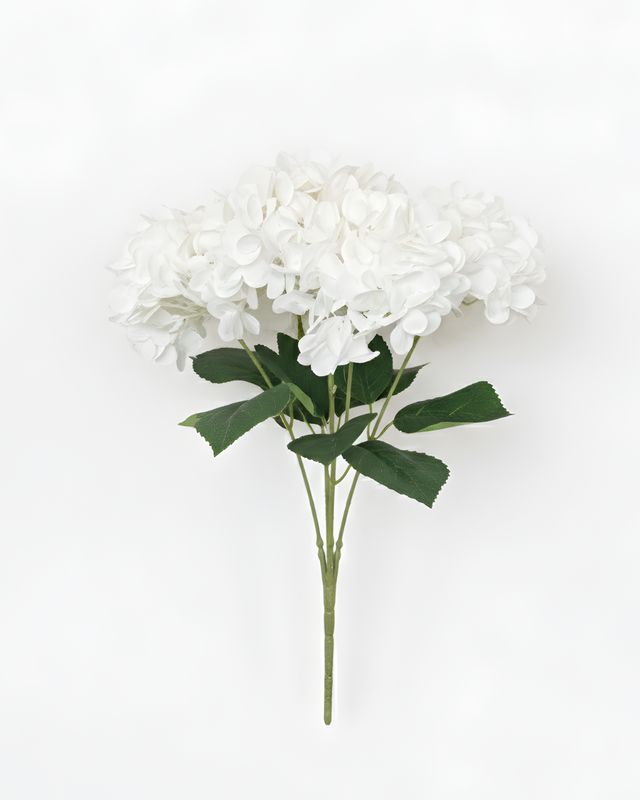 Pure White Hydrangea Bush