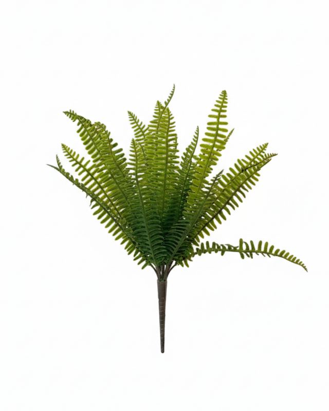 19” UV BOSTON FERN BUSH GR