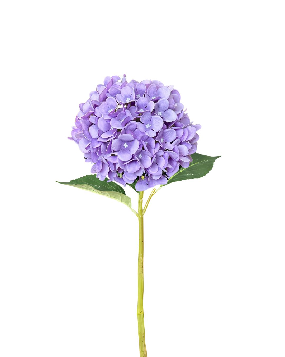 Purple Hydrangea Single 36" Stem