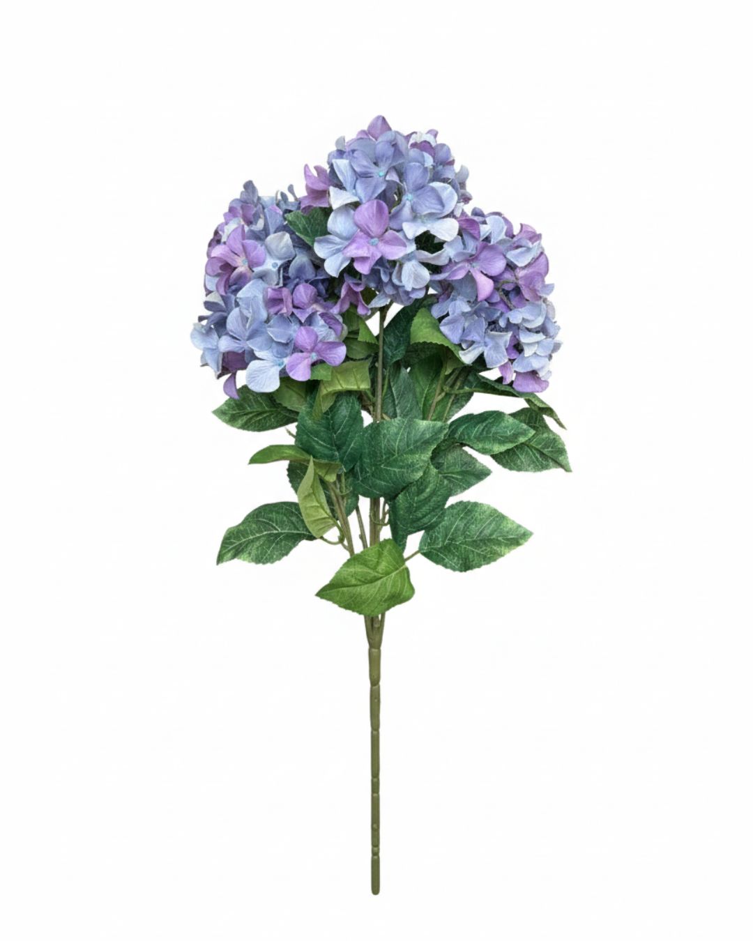 Light Purple Hydrangea Bush