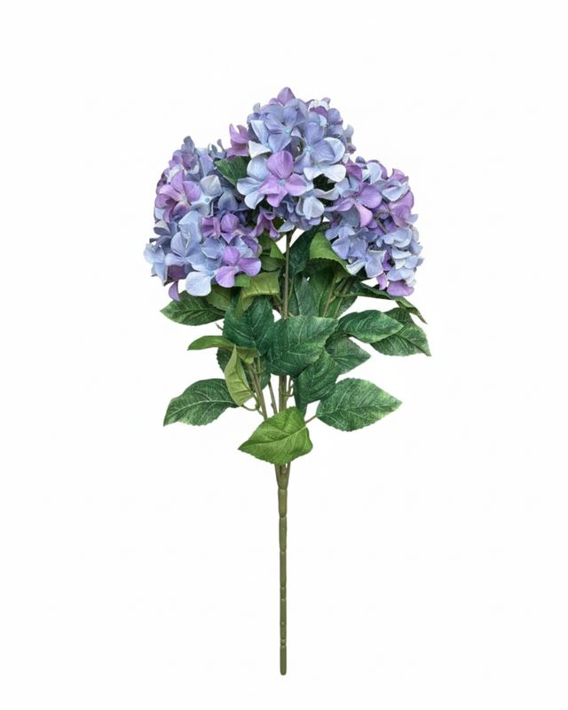 Light Purple Hydrangea Bush