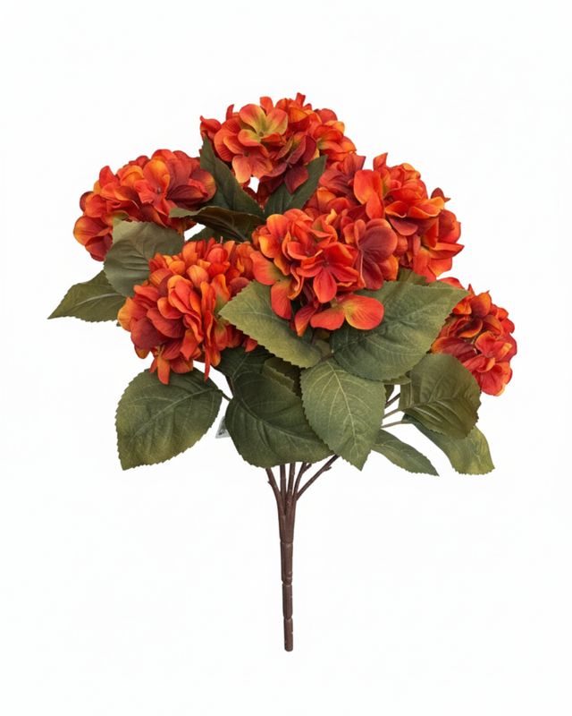 Burnt Orange Hydrangea Bush