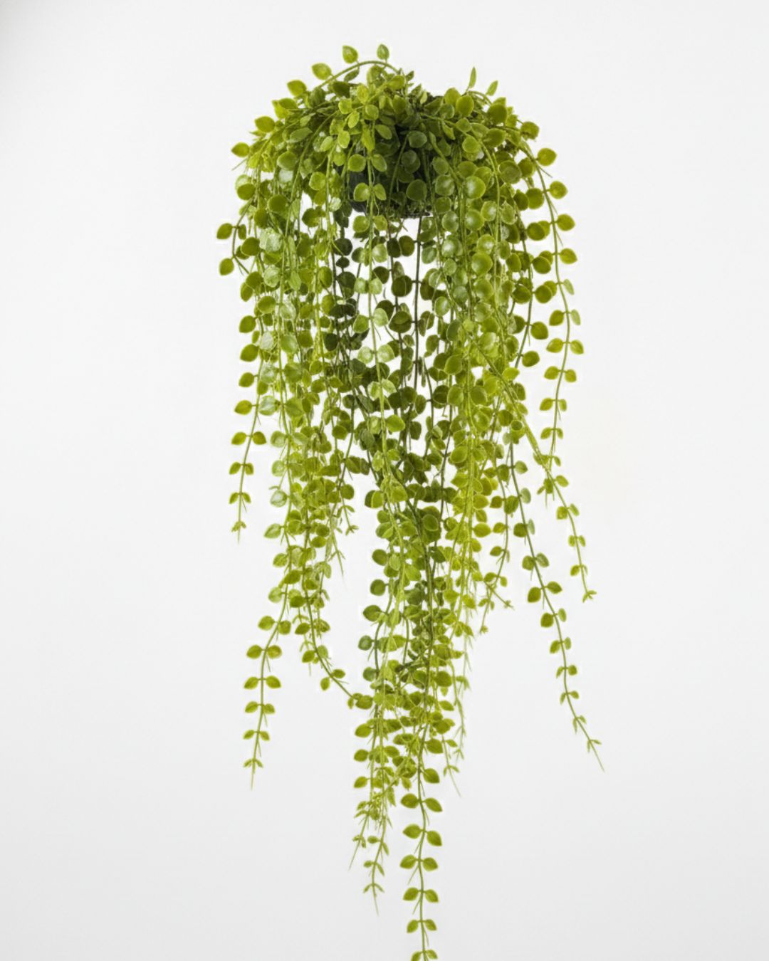 28” Soft PE But. Fern Hang Bush