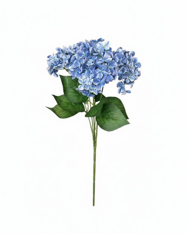 Light Blue Hydrangea Bush