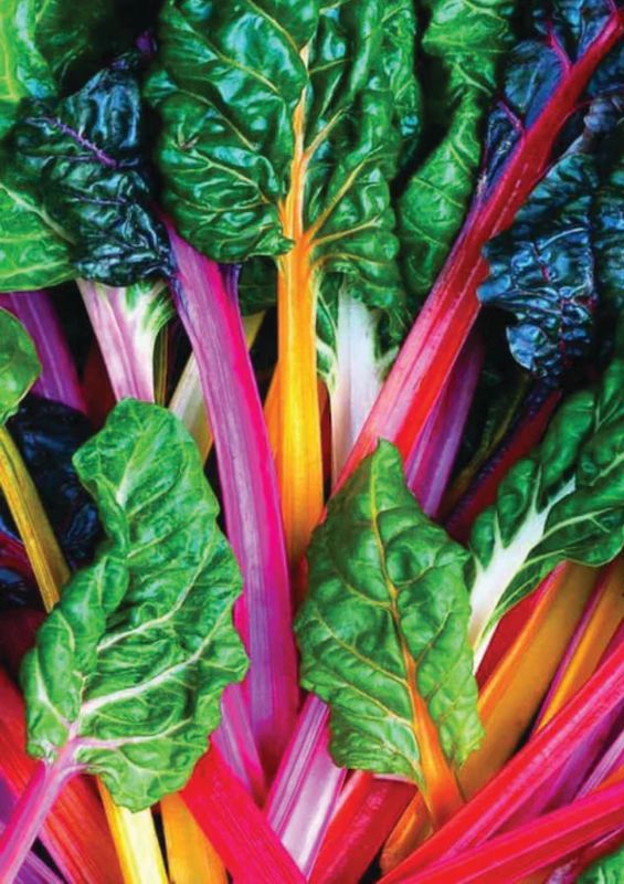 Bright Lights (Rainbow) Seeds