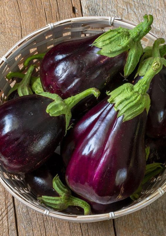 Black Beauty Eggplant Certified Organic