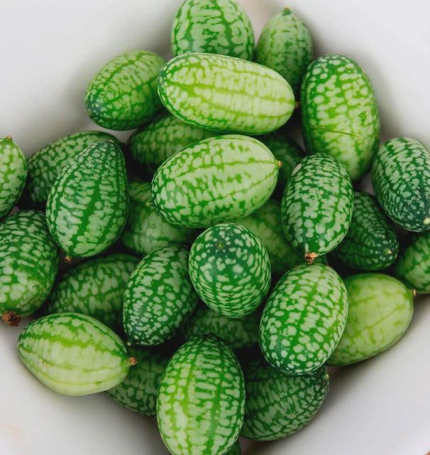 Cucamelon (30 Seeds) Seeds