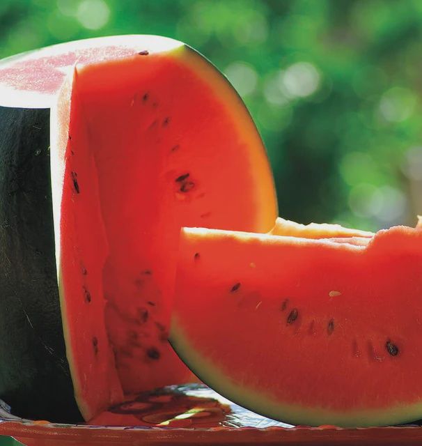 Sugar Baby Certified Organic Seeds