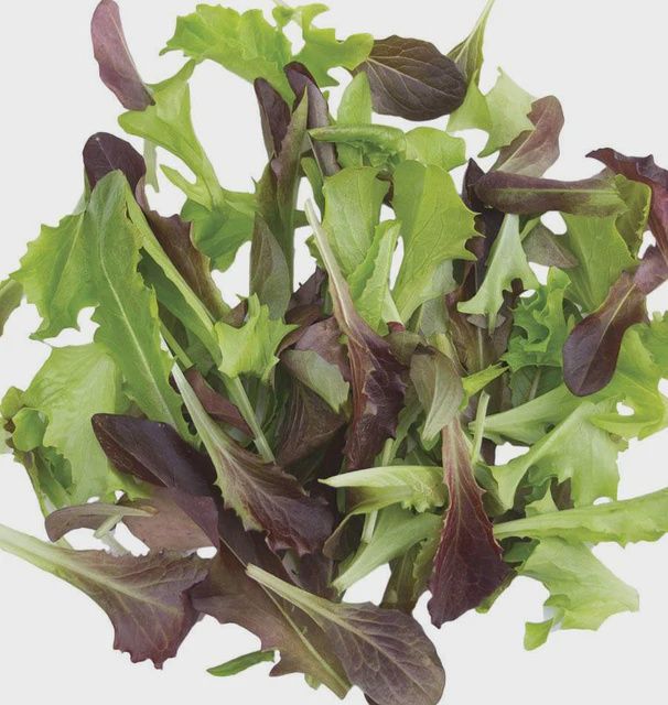 Fast and Furious Blend Certified Organic (500 Seeds) Seeds