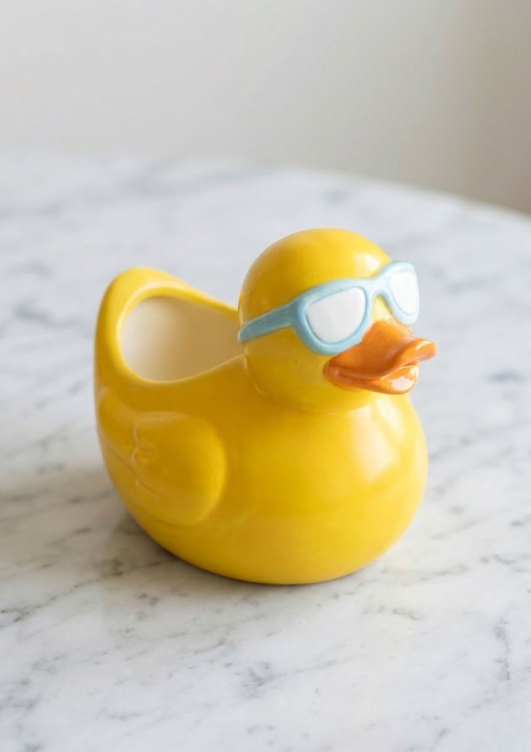 Ceramic Duck Planter