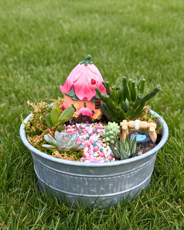 Large Fairy Garden Workshop - All Ages