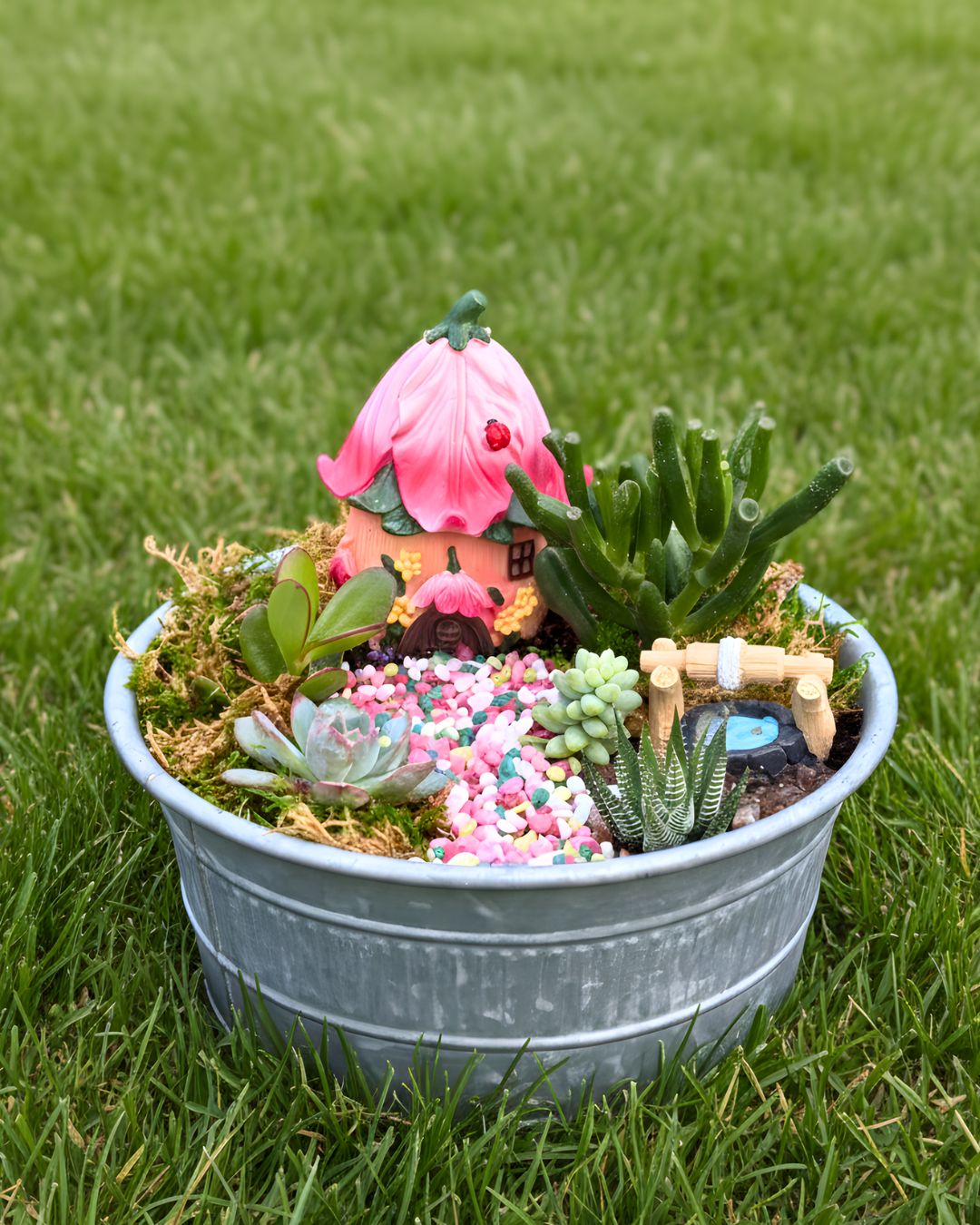 Fairy Garden Workshop Mar 18th 2PM