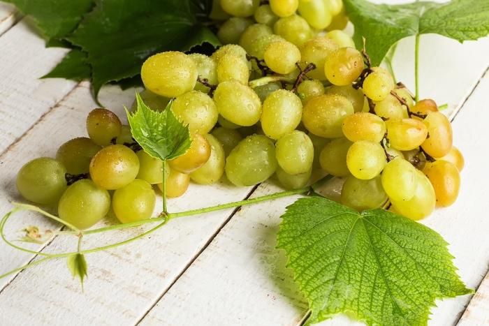 Himrod Seedless Grape