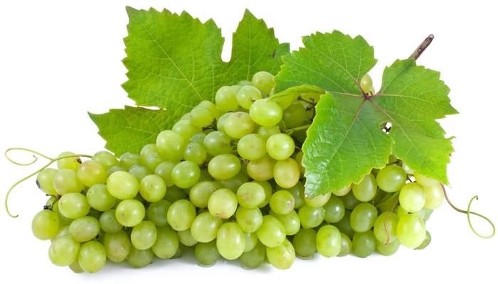 Niagara Seedless Grape
