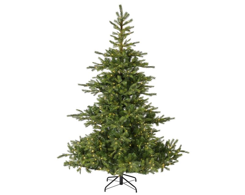 Grandis Fir 6'