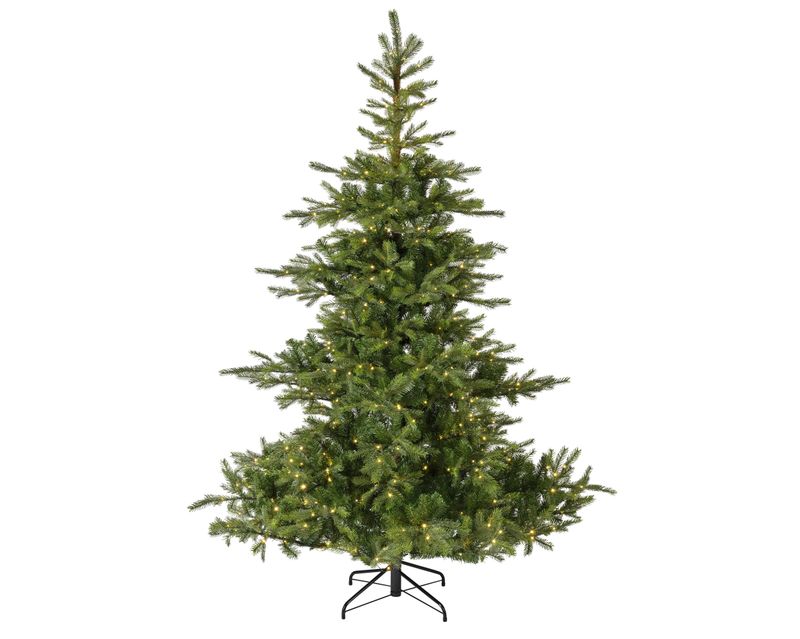 Grandis Fir 8'
