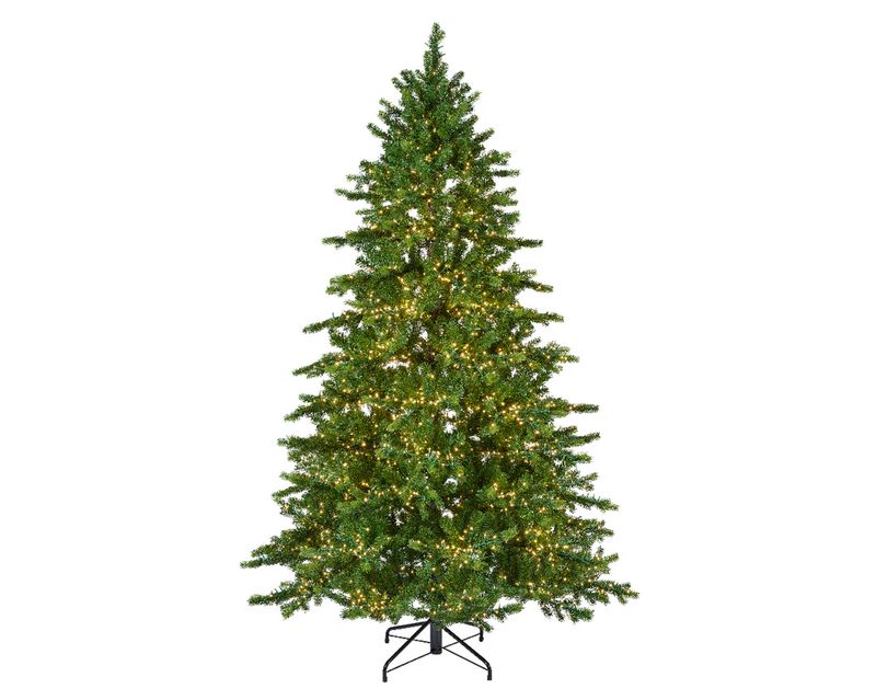 Galloway Spruce 7.5'