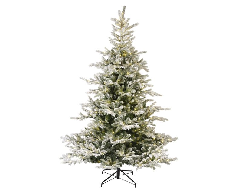 Snowy Grandis Fir 9'