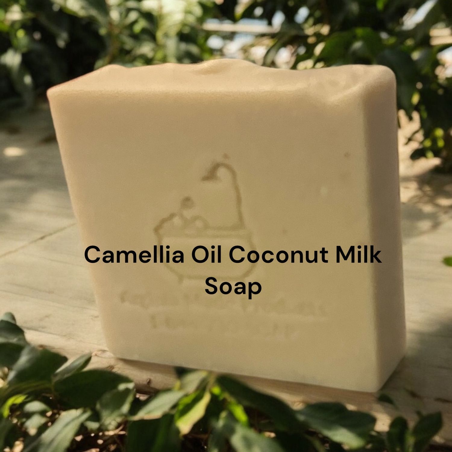 Camellia Oil Coconut Milk