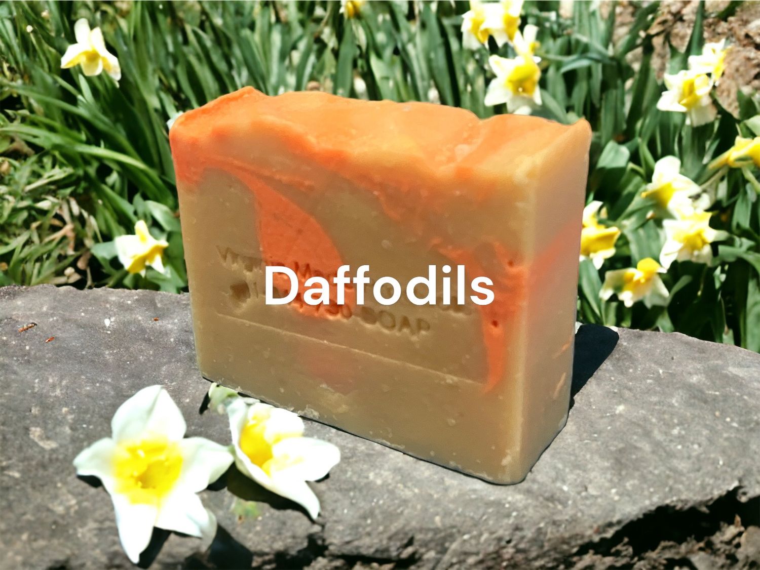 Daffodils